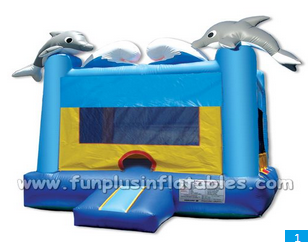 Inflatable Castles