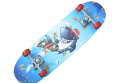 Skate Board