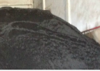 Chrome Ore Concentrate