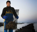 Carlingford Oyster Company