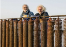 Carlingford Oyster Company