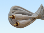 RCA Cable