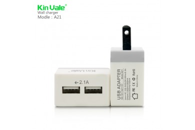 Electronic Charger