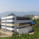 Chongqing Tenglong Shines Electro-Mechanics Co., Ltd.