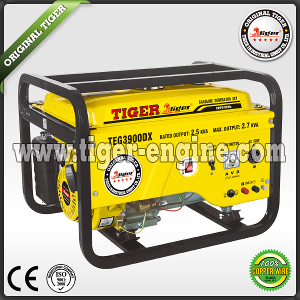 Gasoline Generators