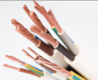 Insulated Electrical Cable