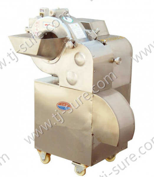 Vegetable&Fruit Dicing Machine