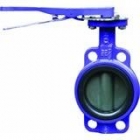 Butterfly Valves