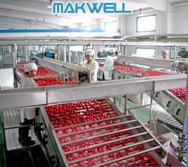 LARGE TOMATO PASTE MAKING MACHINE