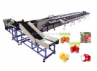 Electronic Fruit Grading Machine