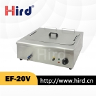 Electric Fryer