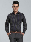 Men's small stripe british style shirt