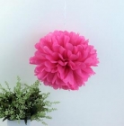 Pom Poms for Party Accessaries