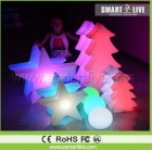 LED Christmas Decoration