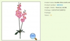 Plastic Flower