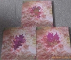 Canvas Prints
