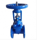 Gate valves