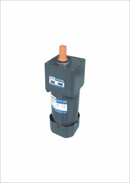 AC Asynchronous Motor