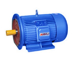 AC Induction Motor