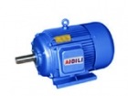 AC Induction Motor