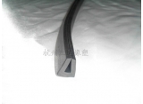 sealing strip seal