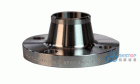 Flange  Pipe Fitting