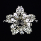 Rhinestone Brooch (WBR-830)