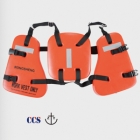 Life Vest