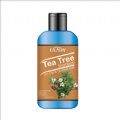 ULADY Tea Tree Shampoo (For Oily & Dandruff hair)