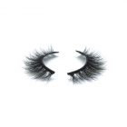 False Eyelashes