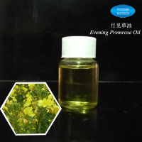 Evening primrose oil