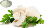 MUSHROOM CHITOSAN