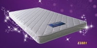 Foam Mattress (E-3801)