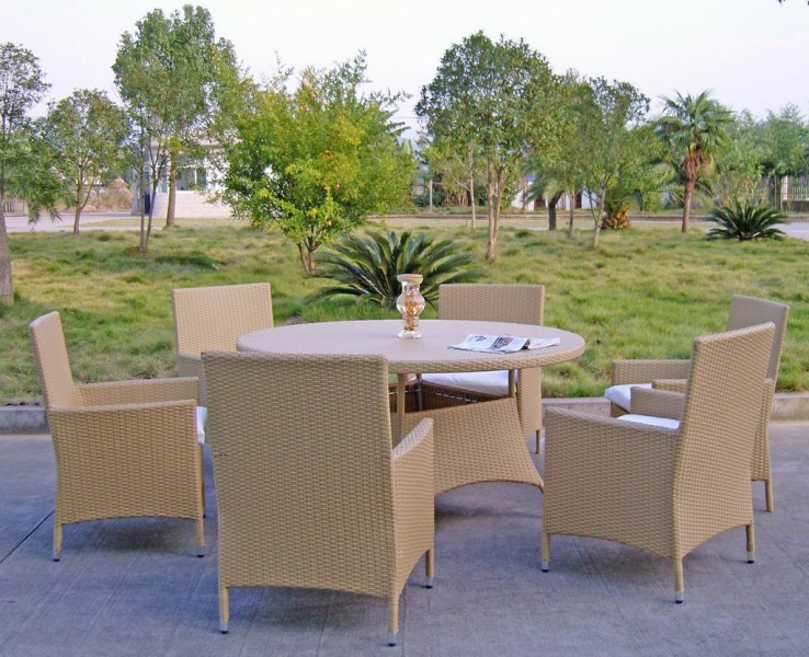 Rattan Dining Set (AY1008)