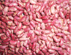 Red Speckled Kidney Bean