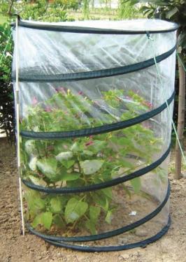 Green Houses