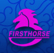 First-Horse Metal Products Co., Ltd. Jiangmen