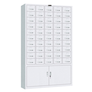 Document Cabinet (YH09-029)