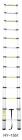 Telescopic ladder (HY-1551)