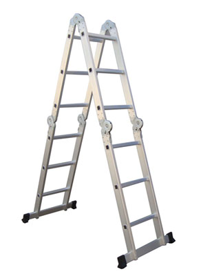 Multi-function ladder