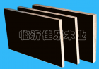 Black film faced plywood(Black04)