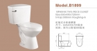 Washdown Two-piece Toilet