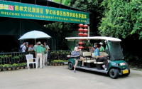 Sightseeing Cart