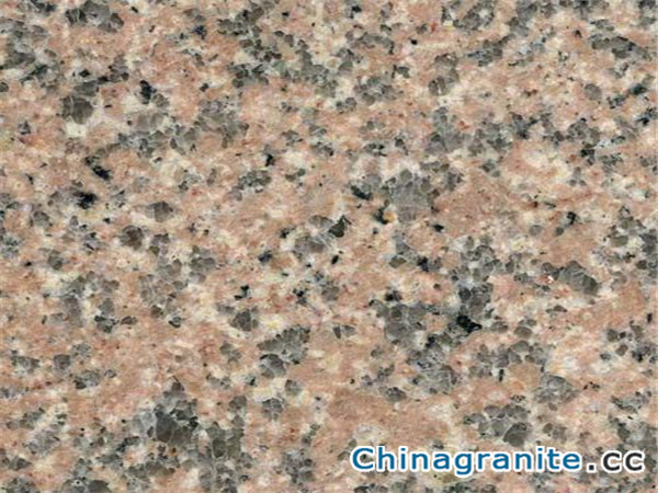 China Granite G657 Granite (72)