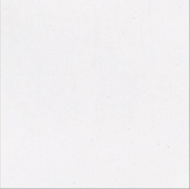 Ceramic wall tile