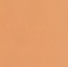 Ceramic wall tile