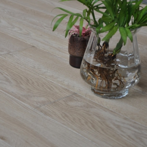 Laminate Flooring (LE065B)