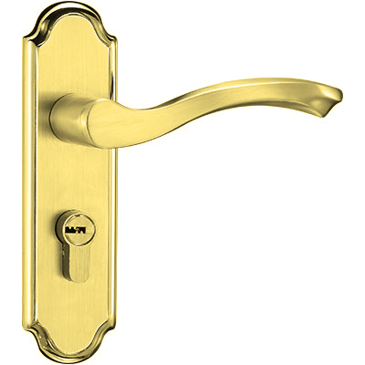 Bathroom Lock (B-312)