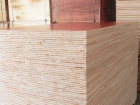 Plywood (201382004735)