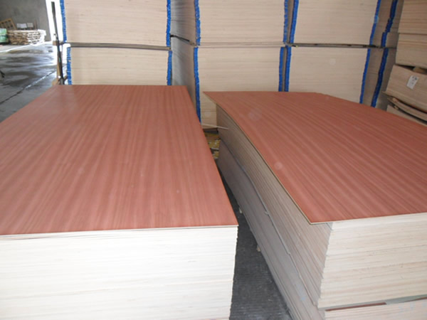 Plywood (DP16)